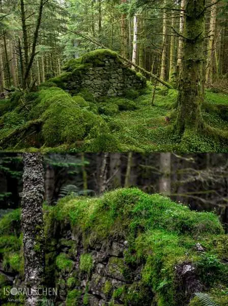 Bild von West Highland Way 2017