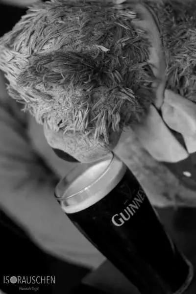 Bild von West Highland Way 2017