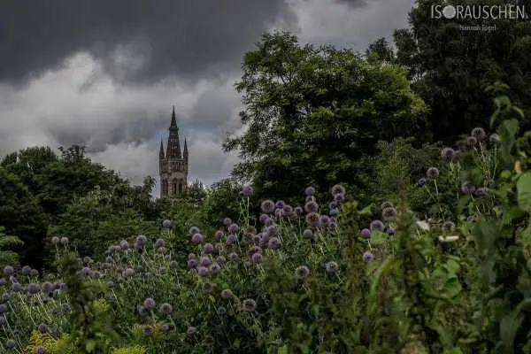 Bild von West Highland Way 2017