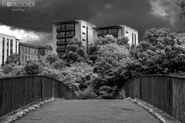 Bild von West Highland Way 2017