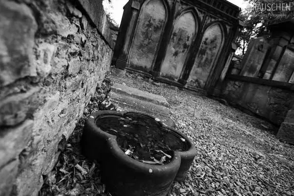 Bild von West Highland Way 2017