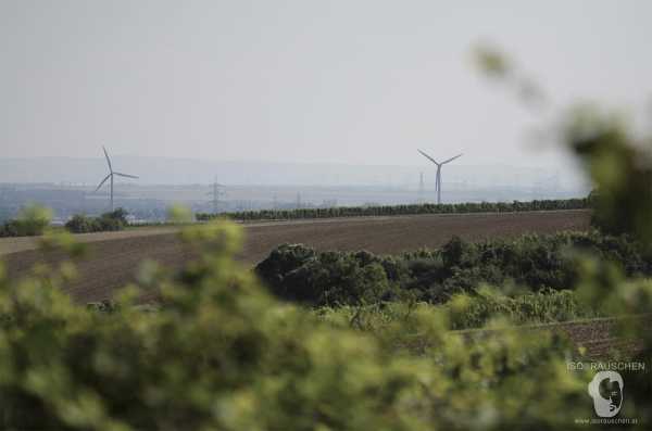 Bild von Wien entdecken I