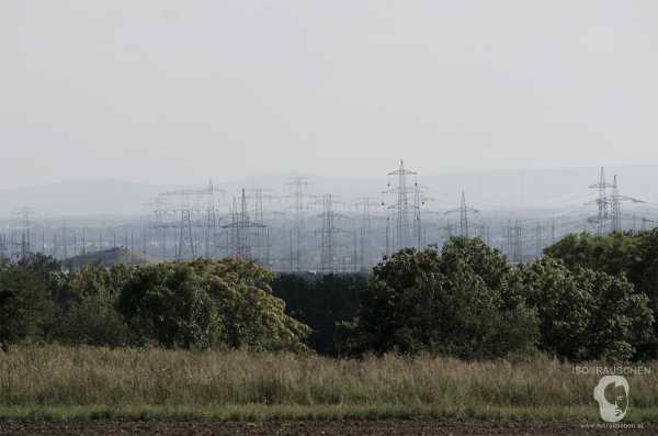 Bild von Wien entdecken I