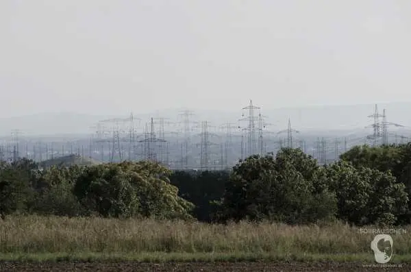 Bild von Wien entdecken I