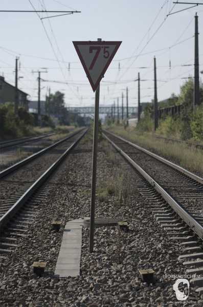 Bild von Wien entdecken I