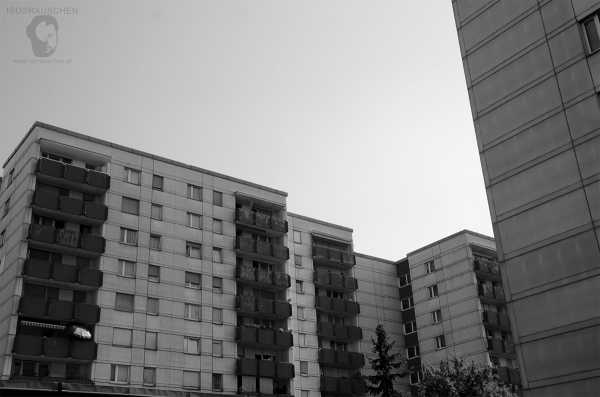 Bild von Wien entdecken I