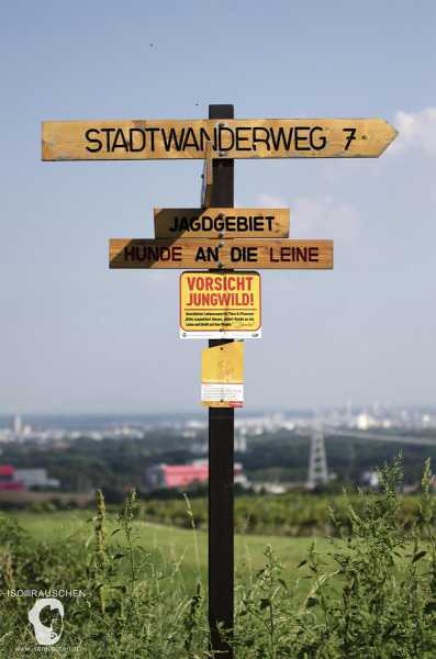 Bild von Wien entdecken I