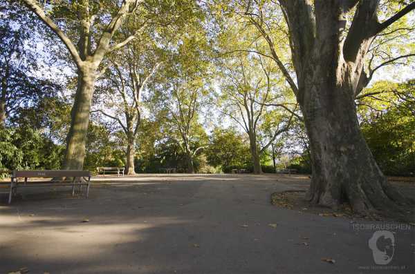 Wien entdecken III Bild von Wien entdecken III