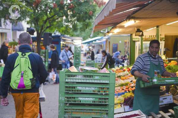 Wien entdecken III Bild von Wien entdecken III