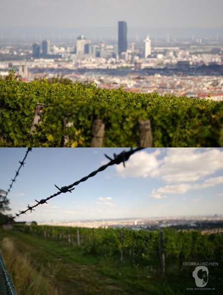 Wien entdecken III Bild von Wien entdecken III