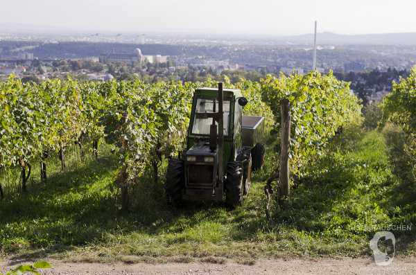 Wien entdecken III Bild von Wien entdecken III