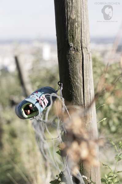 Wien entdecken III Bild von Wien entdecken III