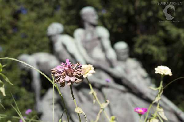 Wien entdecken III Bild von Wien entdecken III