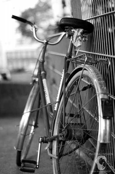 Wien entdecken III Bild von Wien entdecken III