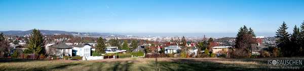 Bild von Panorama Wiens, Hörndlwald
