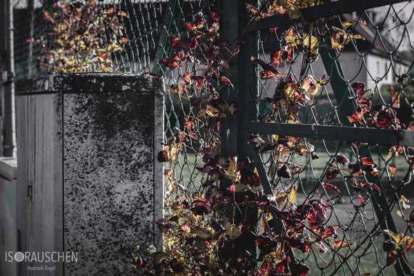 Bild von Siedlung Hermeswiese