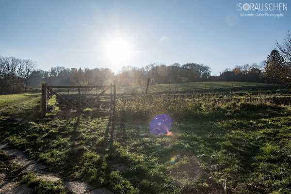 Bild von Roter Berg Blick von Trazerberggasse