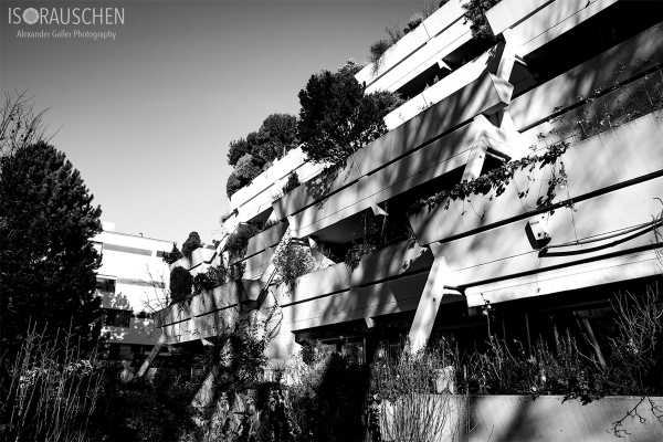 Bild von Trazerberggasse