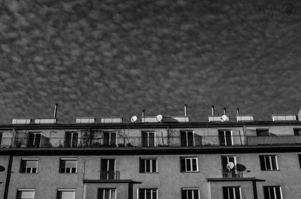 Bild von Wien entdecken IX