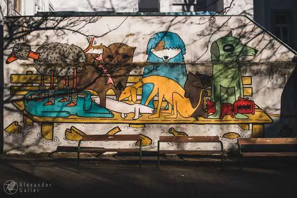 Bild von Wien entdecken IX