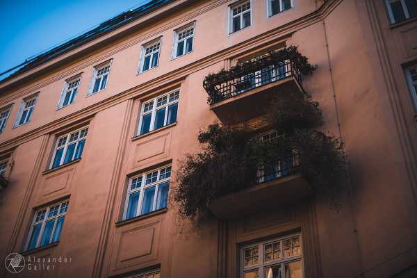 Bild von Wien entdecken IX