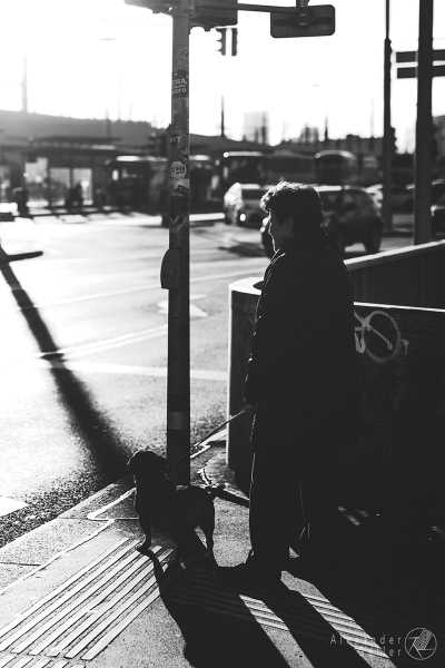 Bild von Wien entdecken IX