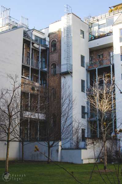 Bild von Wien entdecken IX