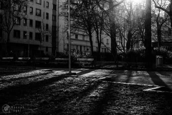 Bild von Wien entdecken IX