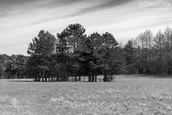 Wien entdecken V Bild von Wien entdecken V