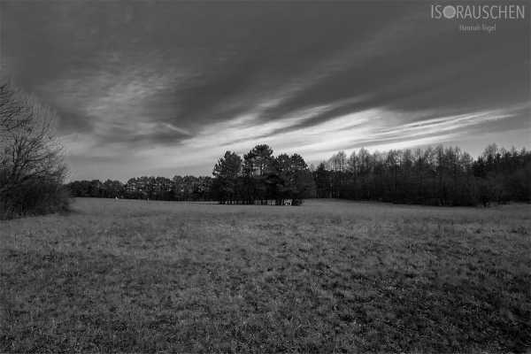 Wien entdecken V Bild von Wien entdecken V