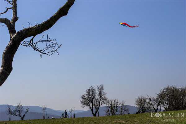 Wien entdecken V Bild von Wien entdecken V