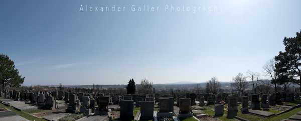 Wien entdecken V Bild von Wien entdecken V