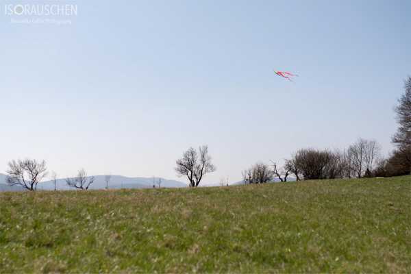 Wien entdecken V Bild von Wien entdecken V