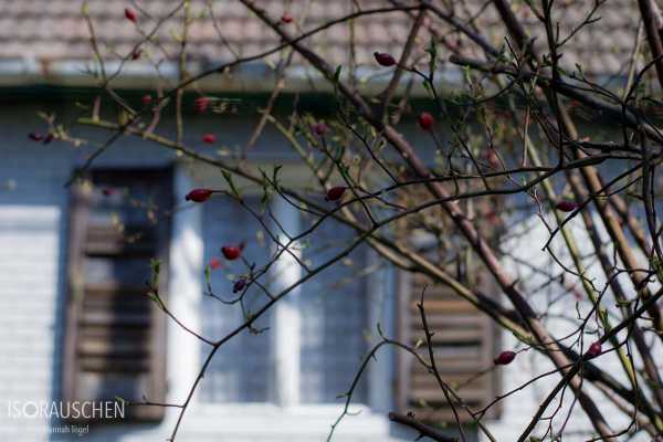 Wien entdecken V Bild von Wien entdecken V