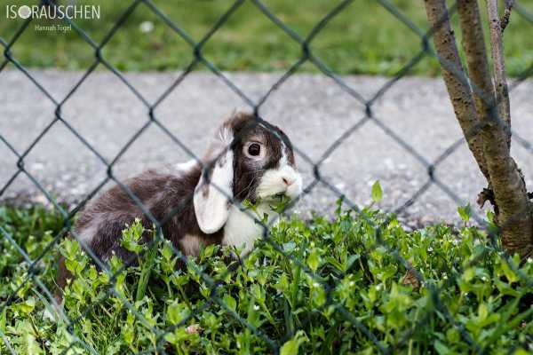 Wien entdecken V Bild von Wien entdecken V