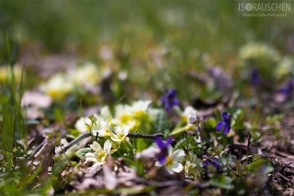 Wien entdecken V Bild von Wien entdecken V