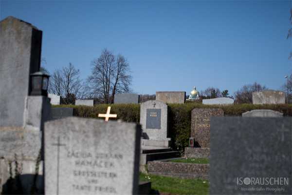 Wien entdecken V Bild von Wien entdecken V