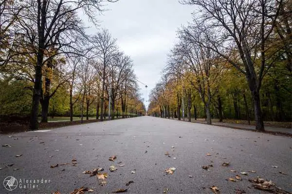 Bild von Wien entdecken VI