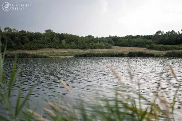 Bild von Wien entdecken VI