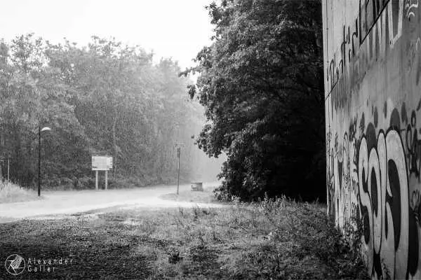 Bild von Wien entdecken VI