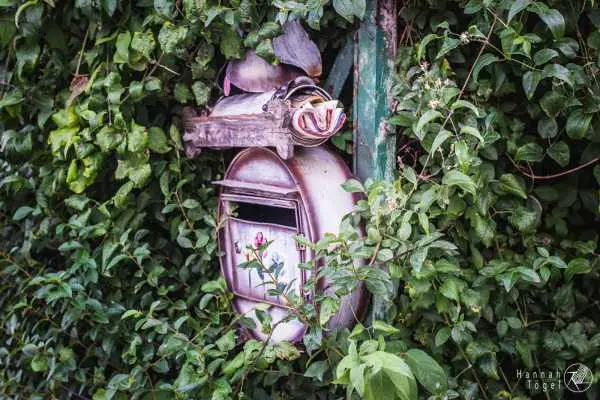 Bild von Wien entdecken VI