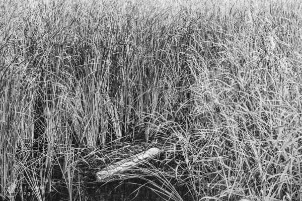 Bild von Wien entdecken VI