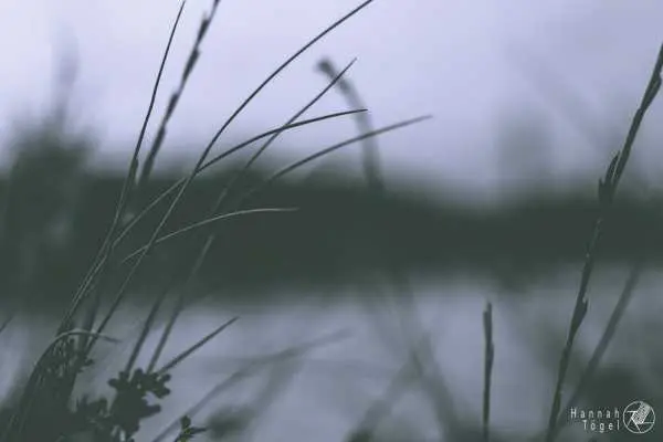 Bild von Wien entdecken VI