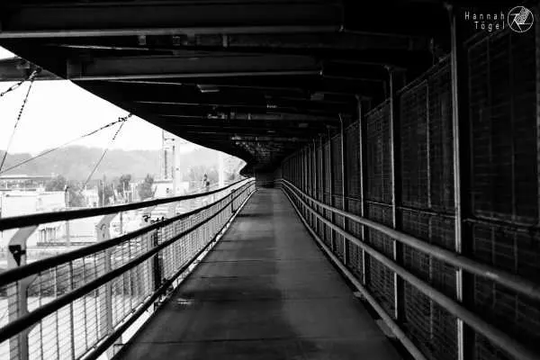 Bild von Wien entdecken VI