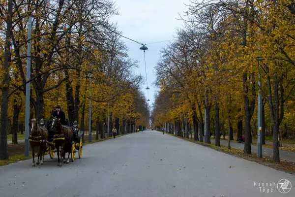 Bild von Wien entdecken VI