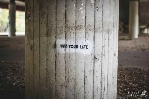 Bild von Wien entdecken VI