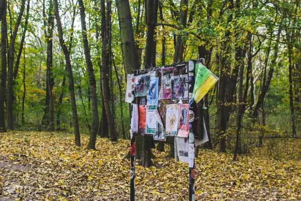 Bild von Wien entdecken VI