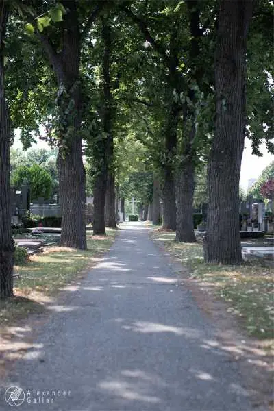 Bild von Wien entdecken VI