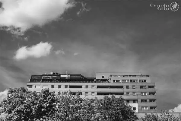 Bild von Wien entdecken VI