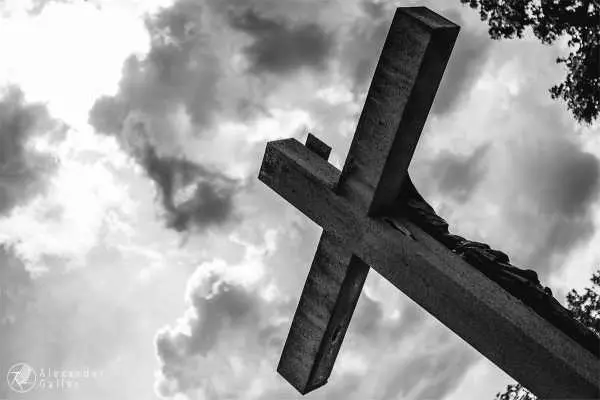 Bild von Wien entdecken VI